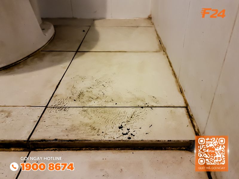 Sàn gạch ố màu là dấu hiệu nhà vệ sinh bị thấm dột